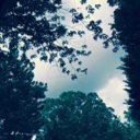 oceans-ate-my-nature avatar