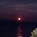 oceans-of-time avatar