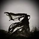 oceans-studies avatar