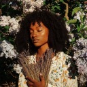 ochre-cottage avatar