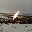 ocimumtenuiflorum avatar