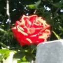 ocs-textposts avatar