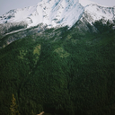 october-all-over avatar