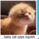 october-skins avatar