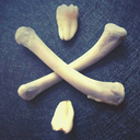 octoberavenue avatar