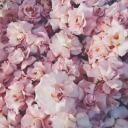 octoberfairytales avatar