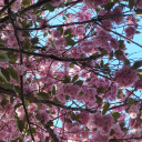 octoberpoetry avatar