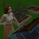 octopisccfinds avatar