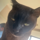 oculus-scriniarii avatar