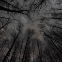 oddcryptidwrites avatar