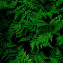 oddly-inspiiriing-blog avatar