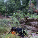 oddlydisturbing avatar