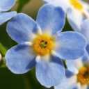 oddlymodlyart avatar