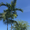 oddospina-blog avatar