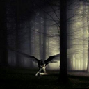 odisea-de-papel avatar