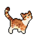 of-course-its-gorse avatar