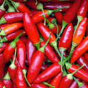 of-gains-and-losses avatar