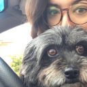 of-mice-and-sirens avatar