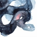 ofconstellationsandsnakes avatar