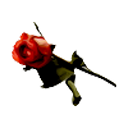 ofcursd avatar