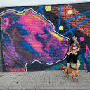 off-campus-still-nerdy avatar