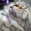 off-to-fandomland avatar