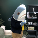 official-blahaj-posts avatar