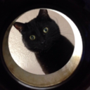 official-catvines avatar