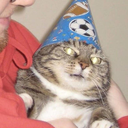 official-mieze avatar