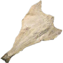 official-portugal avatar