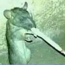 official-rats avatar