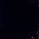 official-void avatar