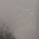 officialbob77 avatar