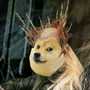 officialdoges avatar