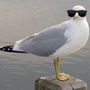 officialgreifswald avatar