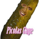 officialpicolascage avatar