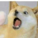 officialshoe-blog avatar