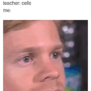 officialtrashblog avatar