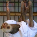 officialzhdun avatar