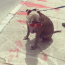 offishell-meenah avatar