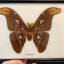 offmyrocker95 avatar