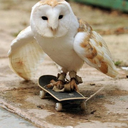 ofmemesandmonsters avatar