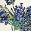 ofoceansandseas avatar