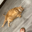 often-lurking avatar