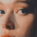 ofvixensandwolves avatar