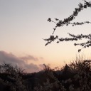 og-fanofmyself avatar