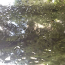 og-neverbetter avatar