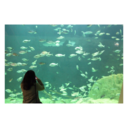 ogemimutlakagelecekk avatar