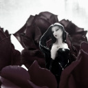 ogrefairysonarest avatar