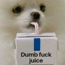 oh-feebee-lay avatar